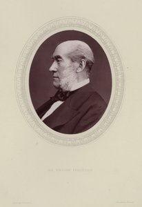 صورة السير ويليام فيرغسون بواسطة لوك ويتفيلد